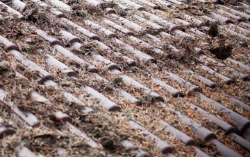 Coaley roof cleaning companies